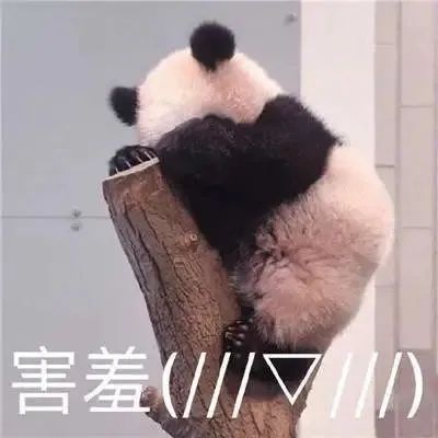 DƬ